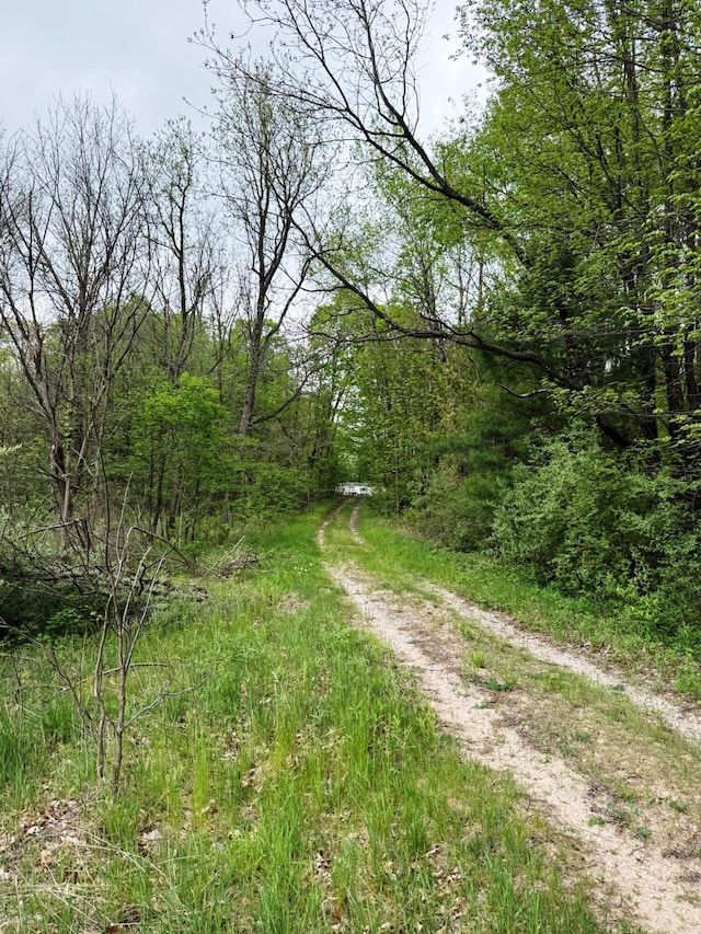 10750 16 Mile Rd NE, Cedar Springs, MI 49319 - view of road featuring a forest view