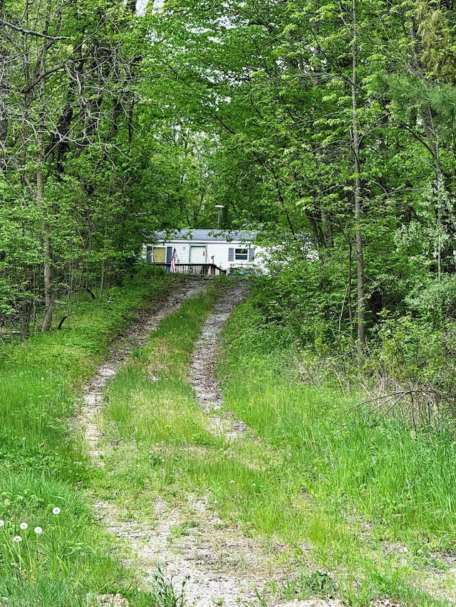 10750 16 Mile Rd NE, Cedar Springs, MI 49319 - view of front of home featuring driveway and a view of trees