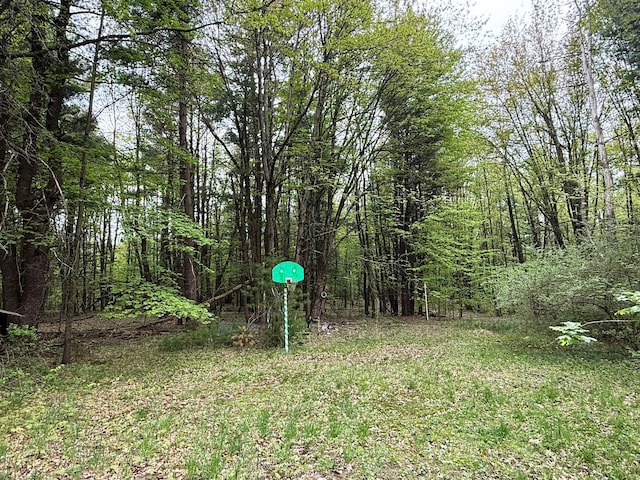 10750 16 Mile Rd NE, Cedar Springs, MI 49319 - view of yard with a forest view
