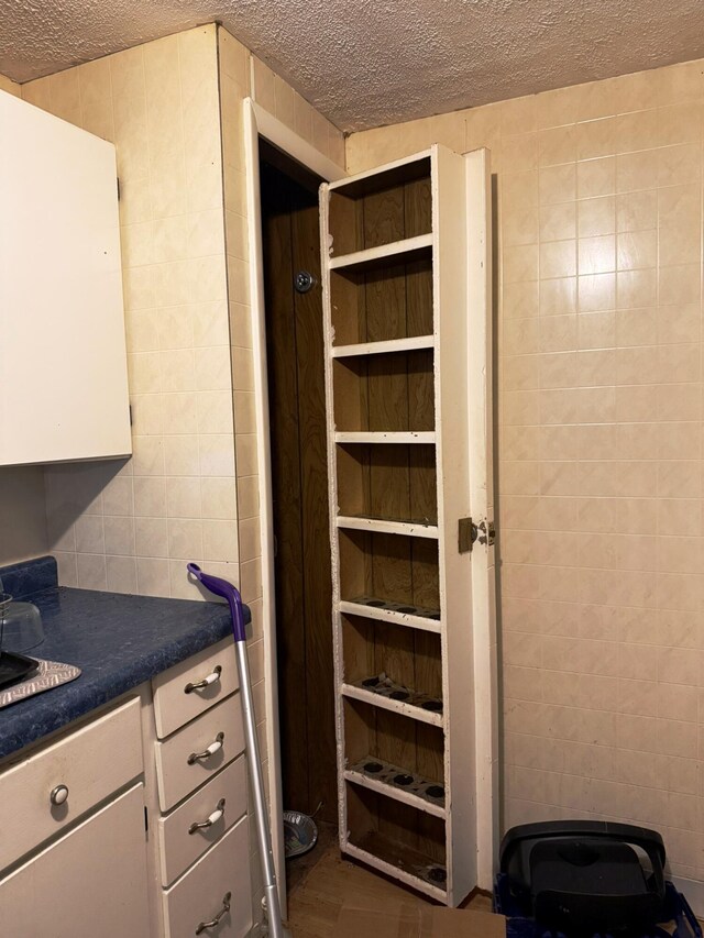 10750 16 Mile Rd NE, Cedar Springs, MI 49319 - view of pantry