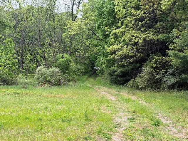 10750 16 Mile Rd NE, Cedar Springs, MI 49319 - view of tree filled area