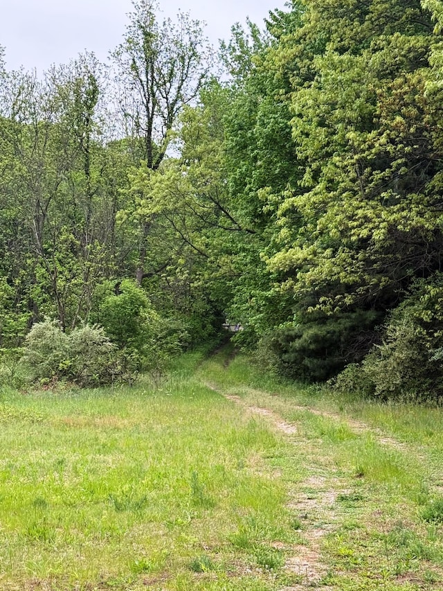 10750 16 Mile Rd NE, Cedar Springs, MI 49319 - view of wooded area