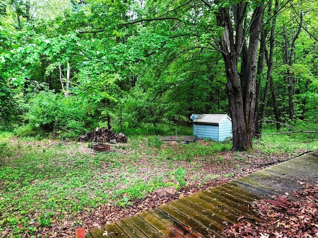 10750 16 Mile Rd NE, Cedar Springs, MI 49319 - view of yard with a wooded view
