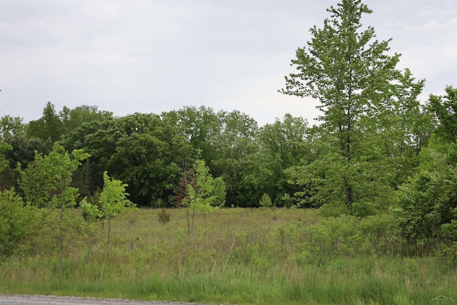 VL Beyer Rd, Birch Run, MI 48415