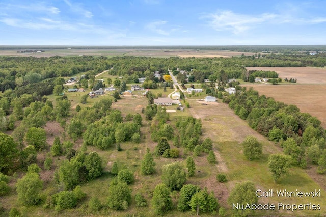 3732 E 128th St, Grant, MI 49327 - overview of rural landscape
