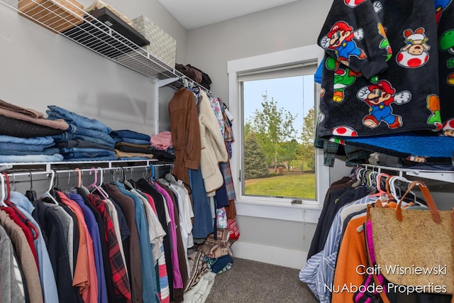 3732 E 128th St, Grant, MI 49327 - spacious closet with carpet floors