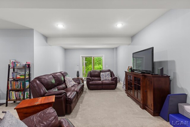 1071 Preservation Dr, Tecumseh, MI 49286 - photo 40