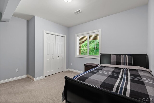 1071 Preservation Dr, Tecumseh, MI 49286 - photo 44