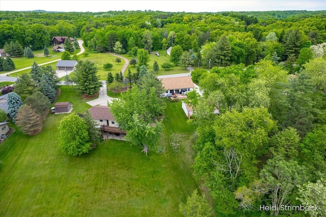 1200 Iroquois Trl, Hastings, MI 49058 - bird's eye view of a heavily wooded area