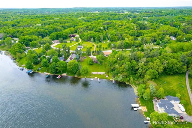 1200 Iroquois Trl, Hastings, MI 49058 - bird's eye view of a nearby body of water and a forest