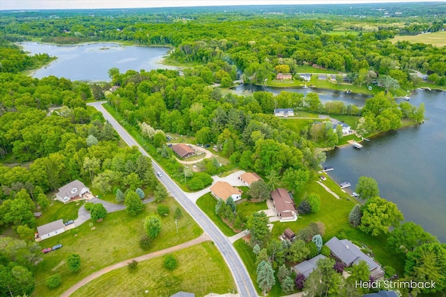 1200 Iroquois Trl, Hastings, MI 49058 - aerial view of a large body of water and a heavily wooded area