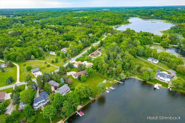 1200 Iroquois Trl, Hastings, MI 49058 - bird's eye view of a forest and a large body of water