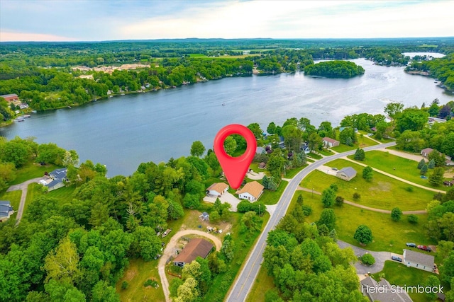 1200 Iroquois Trl, Hastings, MI 49058 - drone / aerial view of a large body of water and a heavily wooded area