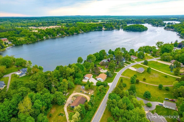 1200 Iroquois Trl, Hastings, MI 49058 - bird's eye view of a nearby body of water and a forest