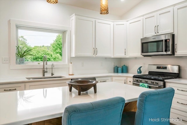1200 Iroquois Trl, Hastings, MI 49058 - kitchen with stainless steel appliances, a sink, plenty of natural light, light countertops, and lofted ceiling