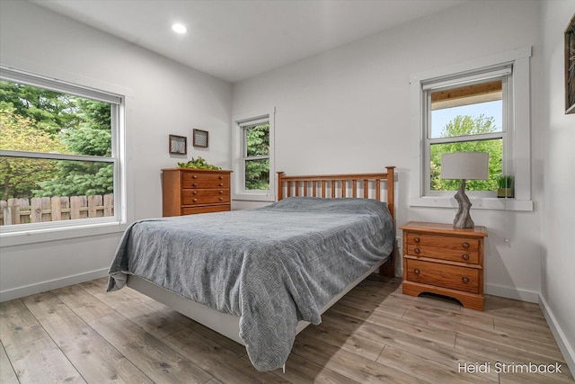 1200 Iroquois Trl, Hastings, MI 49058 - bedroom featuring multiple windows, wood finished floors, baseboards, and recessed lighting