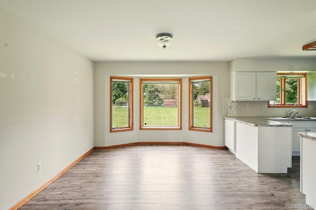 321 Myers Rd, Lapeer, MI 48446 - kitchen featuring a sink, wood finished floors, and baseboards