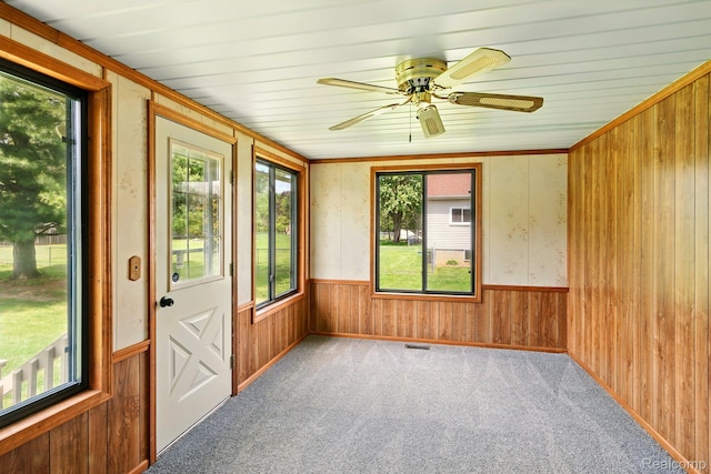 321 Myers Rd, Lapeer, MI 48446 - unfurnished sunroom with wooden walls, carpet, a wainscoted wall, and baseboards