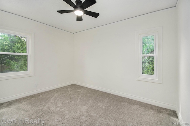5990 Yorkshire Rd, Detroit, MI 48224 - photo 25