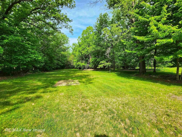10424 S Graham Rd, Saint Charles, MI 48655 - view of green lawn