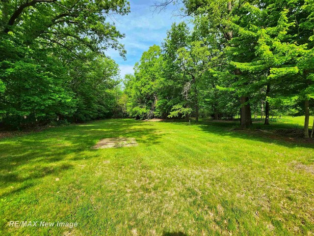 10424 S Graham Rd, Saint Charles, MI 48655 - view of green lawn
