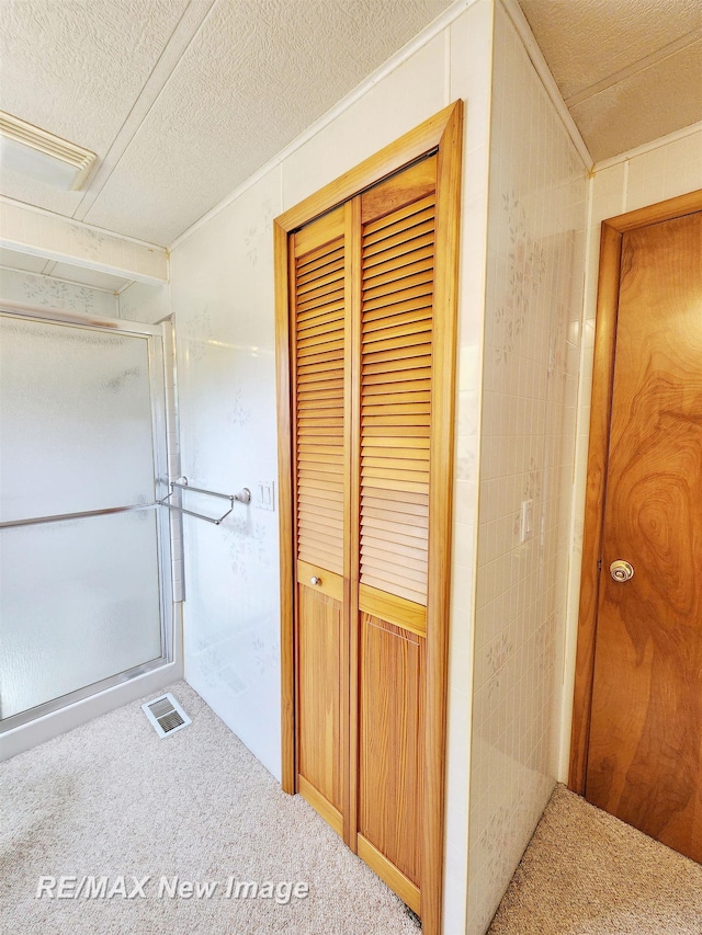 10424 S Graham Rd, Saint Charles, MI 48655 - bathroom with a textured ceiling