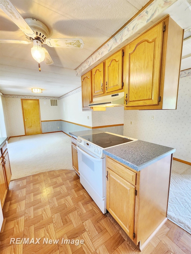 10424 S Graham Rd, Saint Charles, MI 48655 - kitchen featuring under cabinet range hood, white range with electric stovetop, light carpet, a ceiling fan, and a wainscoted wall