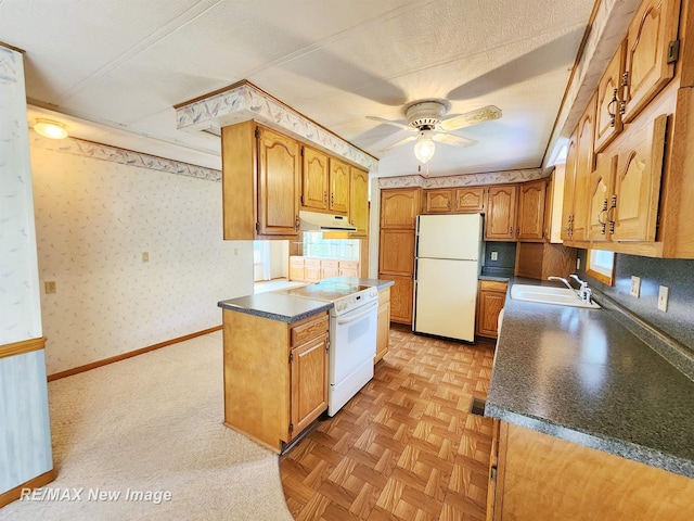10424 S Graham Rd, Saint Charles, MI 48655 - kitchen featuring white appliances, a sink, dark countertops, a ceiling fan, and under cabinet range hood