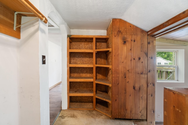 817 Annetta Ave, Jackson, MI 49203 - view of walk in closet