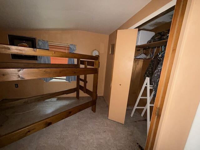 4465 E Old M-63, Luther, MI 49656 - bedroom with vaulted ceiling, a closet, and carpet