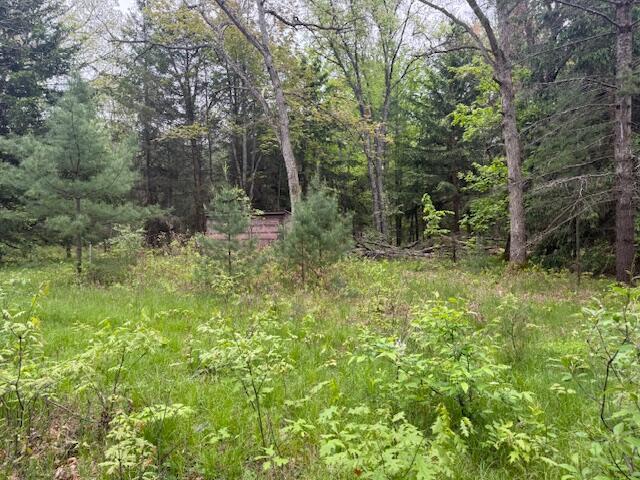 4465 E Old M-63, Luther, MI 49656 - view of wooded area