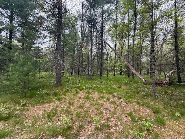 4465 E Old M-63, Luther, MI 49656 - view of tree filled area