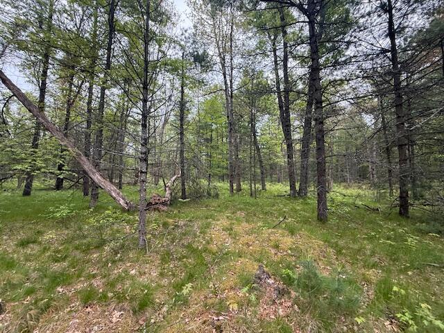 4465 E Old M-63, Luther, MI 49656 - view of woods