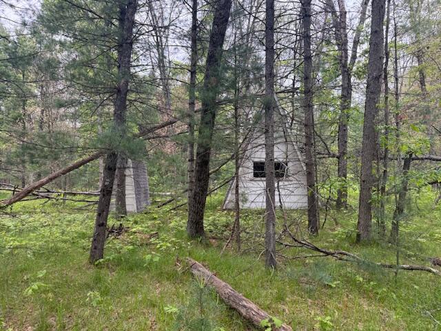 4465 E Old M-63, Luther, MI 49656 - view of wooded area