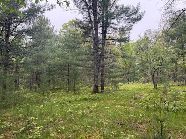 4465 E Old M-63, Luther, MI 49656 - view of woods