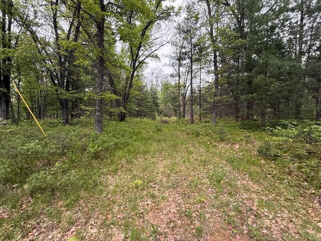 4465 E Old M-63, Luther, MI 49656 - view of woods