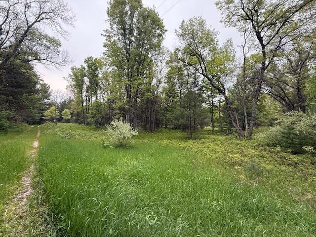 4465 E Old M-63, Luther, MI 49656 - view of yard