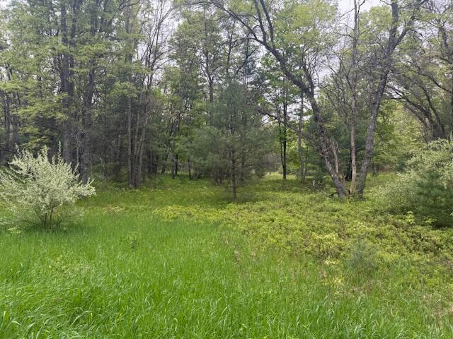4465 E Old M-63, Luther, MI 49656 - view of wooded area