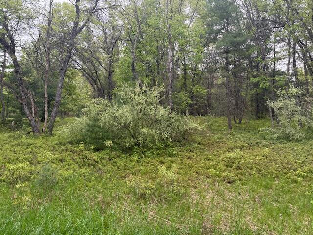 4465 E Old M-63, Luther, MI 49656 - view of woods