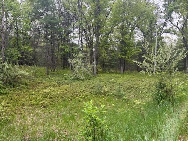 4465 E Old M-63, Luther, MI 49656 - view of woods