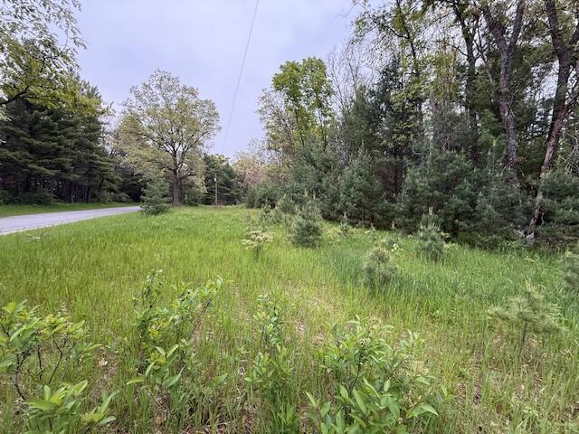 4465 E Old M-63, Luther, MI 49656 - view of woods