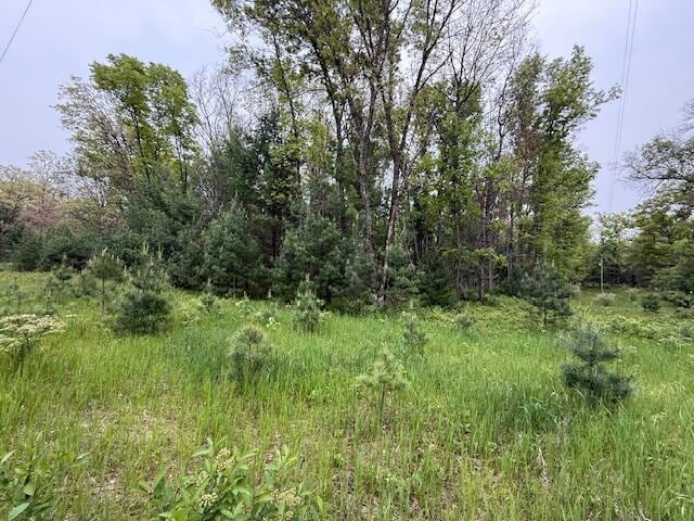 4465 E Old M-63, Luther, MI 49656 - view of nature