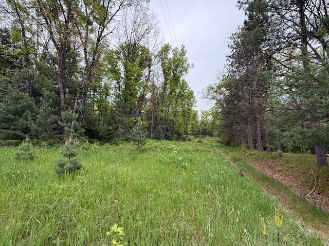 4465 E Old M-63, Luther, MI 49656 - view of wooded area