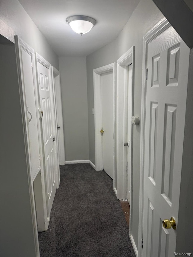 18950 Blackmoor St, Detroit, MI 48234 - corridor with dark colored carpet and baseboards
