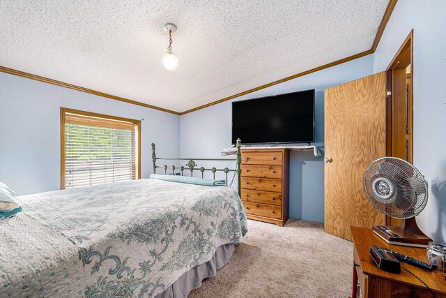 8890 W Cutcheon Rd, Manton, MI 49663 - photo 15