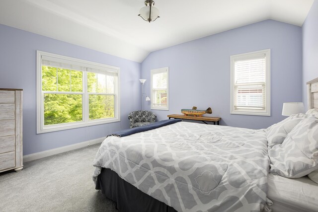 10579 Camrose Cir, Traverse City, MI 49684 - photo 33