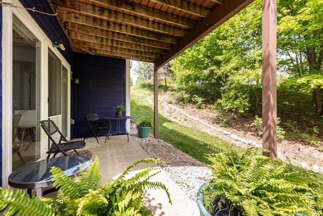 10579 Camrose Cir, Traverse City, MI 49684 - photo 52