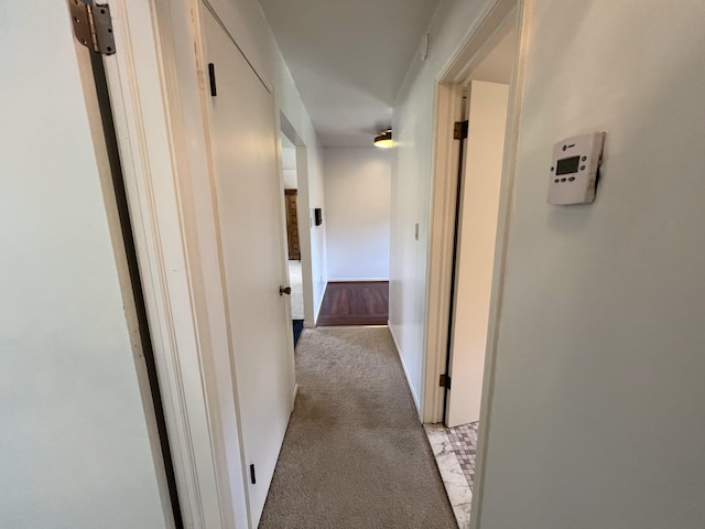 2323 Page Ave, Ann Arbor, MI 48104 - corridor with light carpet