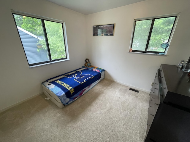 2323 Page Ave, Ann Arbor, MI 48104 - bedroom with carpet flooring and baseboards