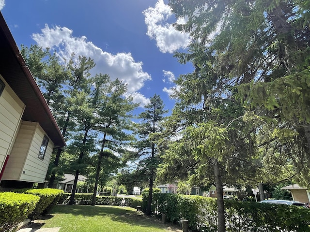 2323 Page Ave, Ann Arbor, MI 48104 - view of green lawn